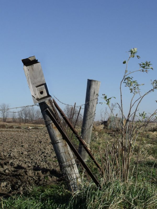 Creation of Birdhouse, flop.: Final Result